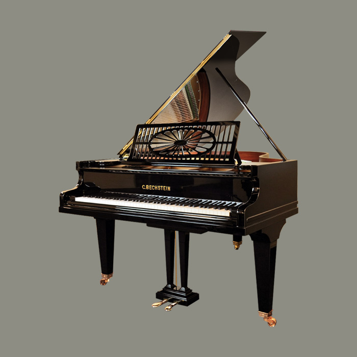 C. Bechstein модель M